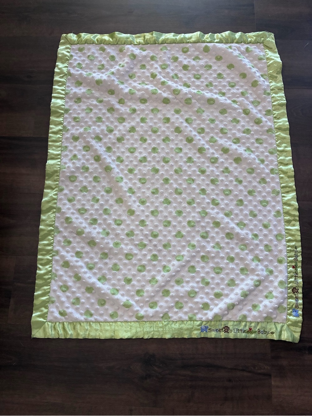 Carter’s Child of Mine Baby Blanket Green Polka Dot Minky Satin Edge 30x40